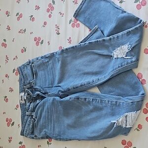 Paige skyline ankle peg jeans